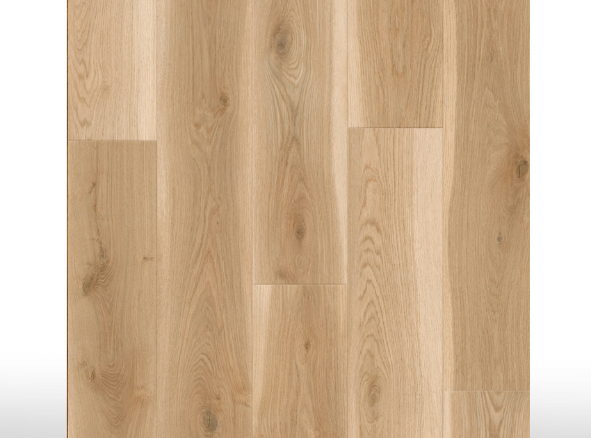 SPC Acoustic | Mystic Oak 
